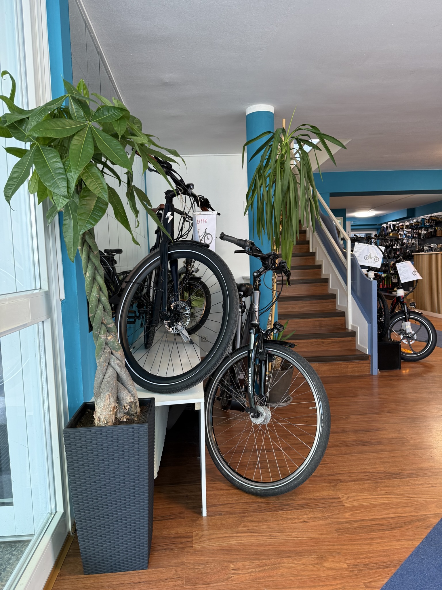 Radschlag Bikes Alltag